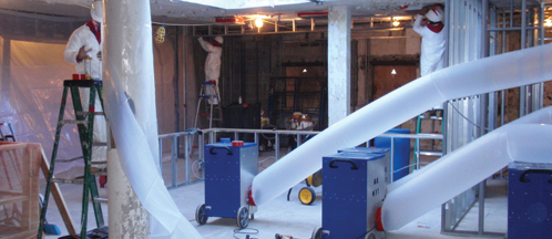 Mold Removal